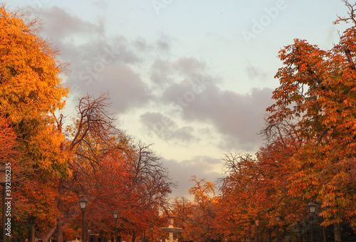 beautiful autumnal landscape with clouds in the blue sky, trees in the sides of an avenue with red, orange and yellow leaves and a fountain in the center - sunset in Retiro Park of Madrid wallpaper