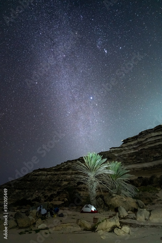 Milky Way arching over a lone palm tree in the desert night sky of Oman