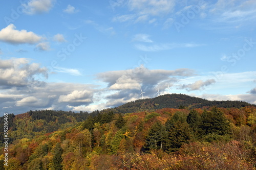 Bunte Herbstwälder auf dem Rosskopf in Freiburg
