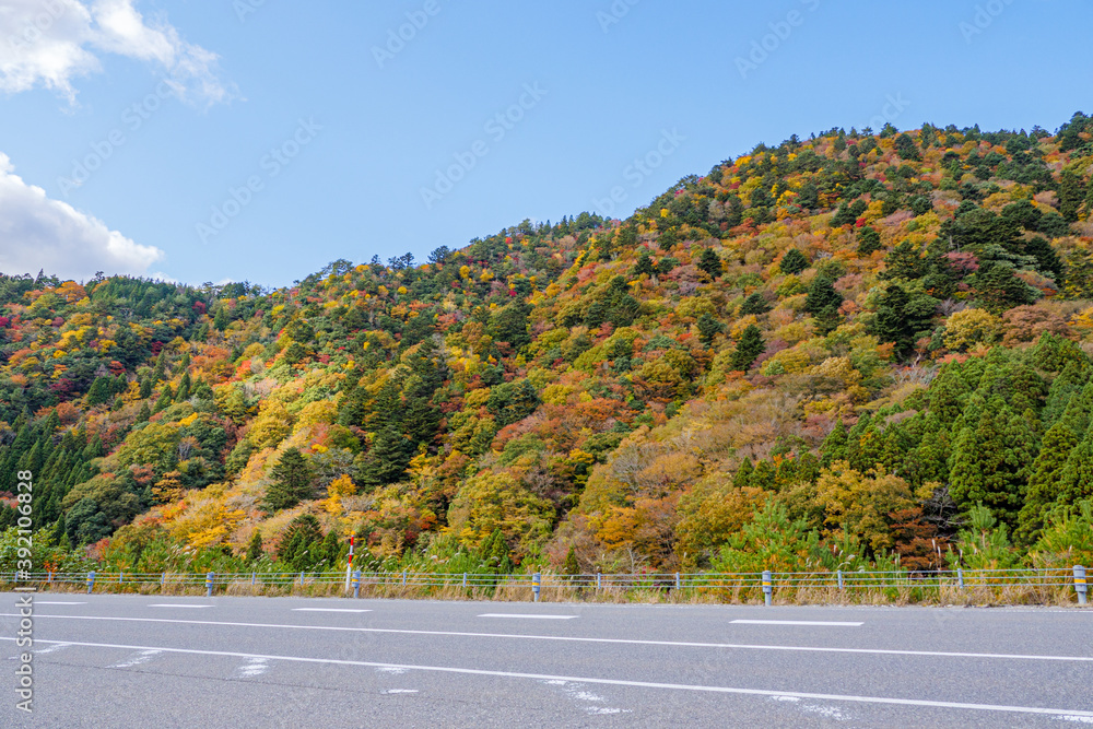 紅葉する山々に面する道路
