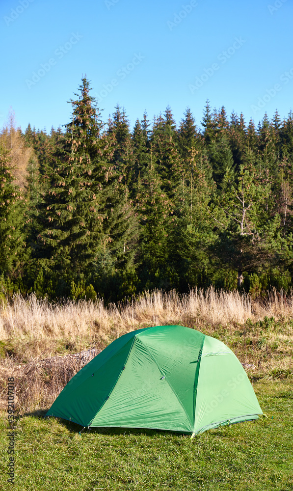 Green tent on a meadow by the edge of a mountain forest.