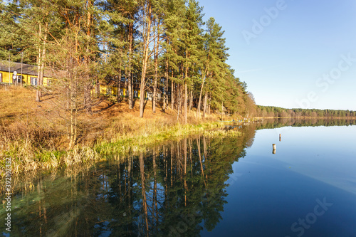 panorama of magnificent landscape of wide lake in pinery forest
