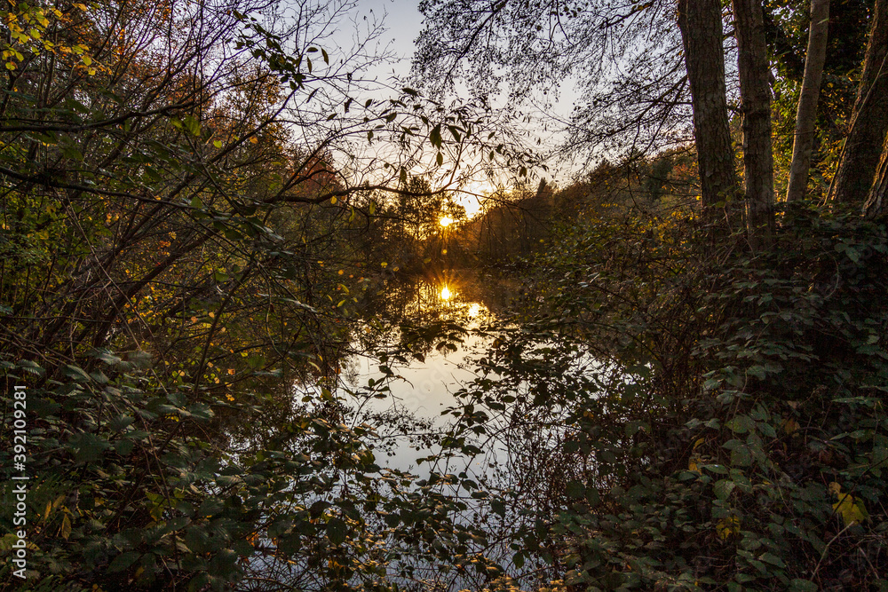 Sonnenuntergang im Herbst am Jägersburger Weiher-Saarland-Deutschland Sonnenuntergang im Herbst am Jägersburger Weiher-Saarland-Deutschland