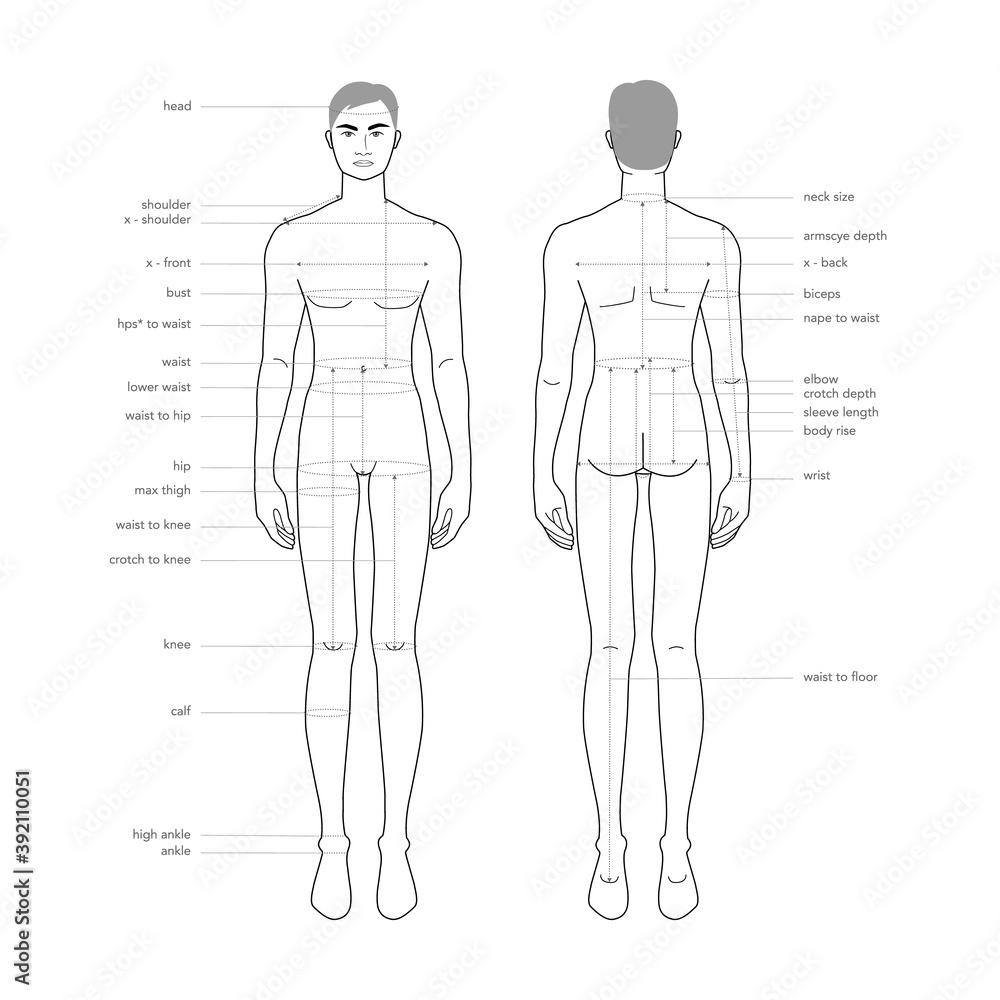 Vettoriale Stock Men body parts terminology measurements Illustration for  clothes and accessories production fashion male size chart. 9 head boy for  site and online shop. Human body infographic template | Adobe Stock