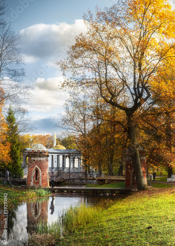 autumn in the park