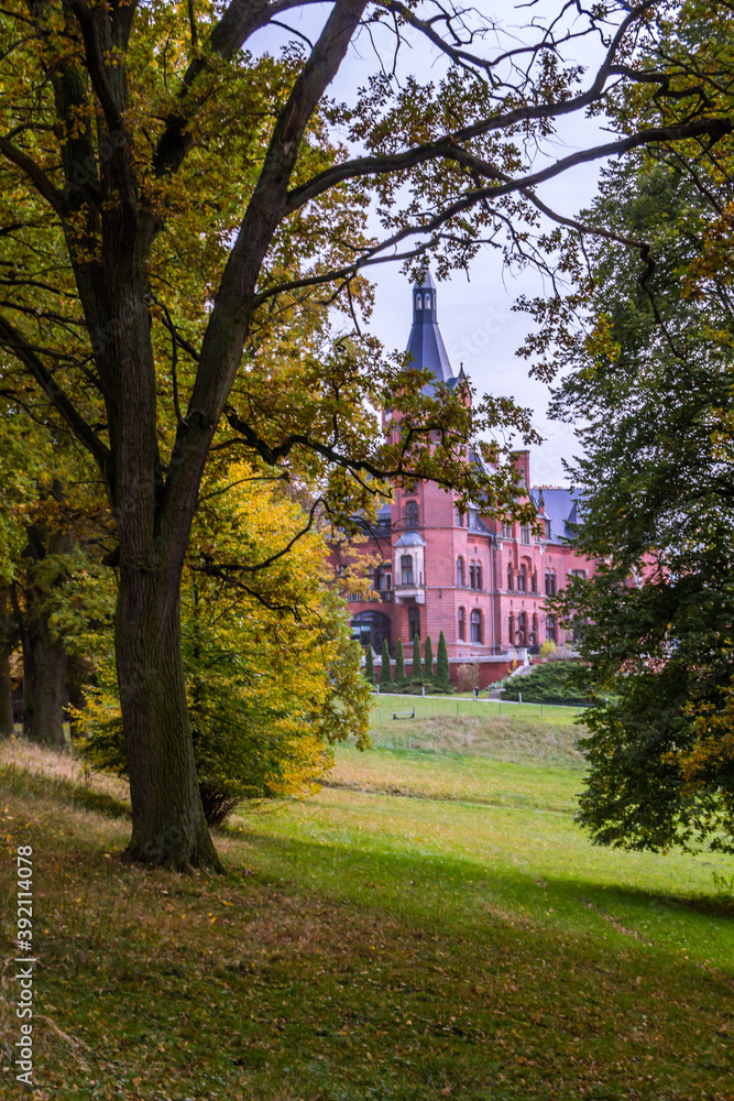 Autumn trees alley with colorful leaves in the park Autumn trees alley with colorful leaves in the park