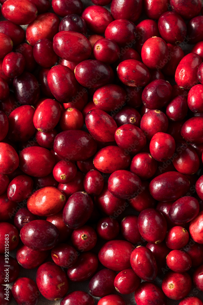 Raw Red Organic Cranberries Raw Red Organic Cranberries