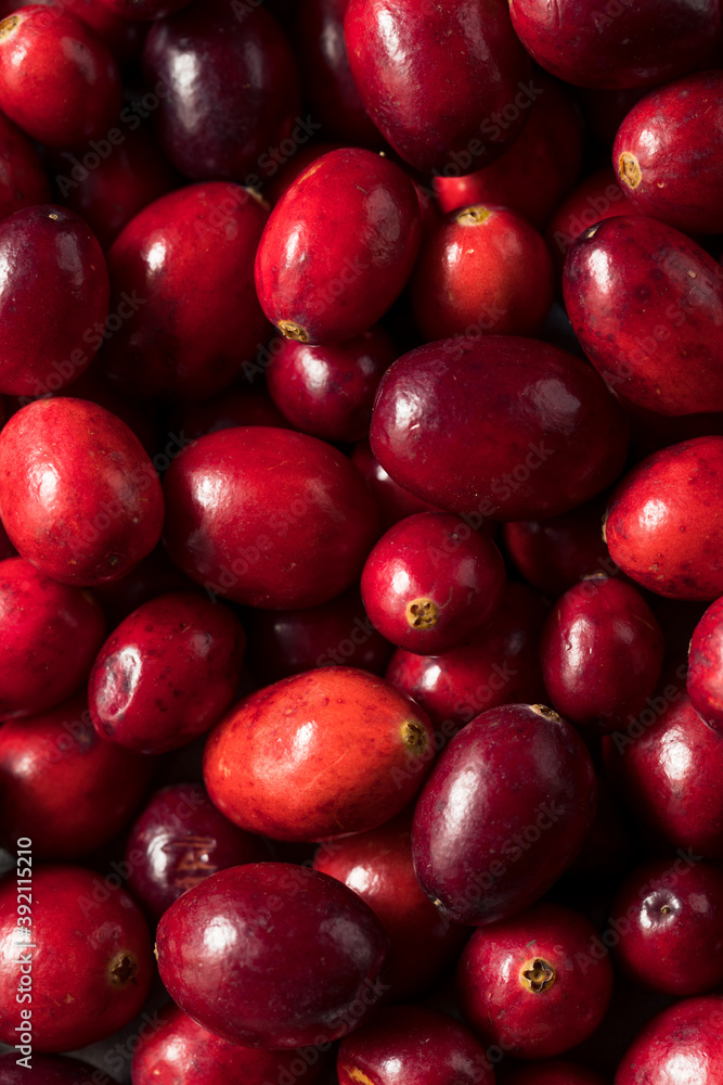 Raw Red Organic Cranberries Raw Red Organic Cranberries