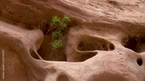 Eroded by water and wind cliffs in the canyon. Little Wild Horse Canyon. San Rafael Swell, Utah. photo