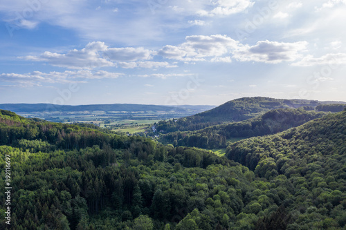 Panorama over a  green forest in Germany © wlad074