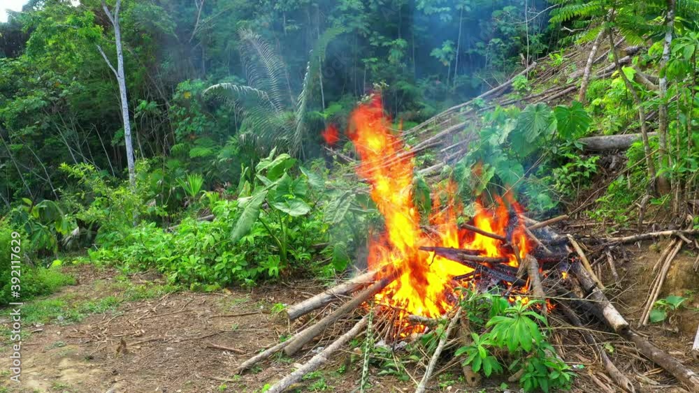 Still video of a large camp fire, showing the beautiful red and orange colored flames
Still video of a large camp fire, showing the beautiful red and orange colored flames
