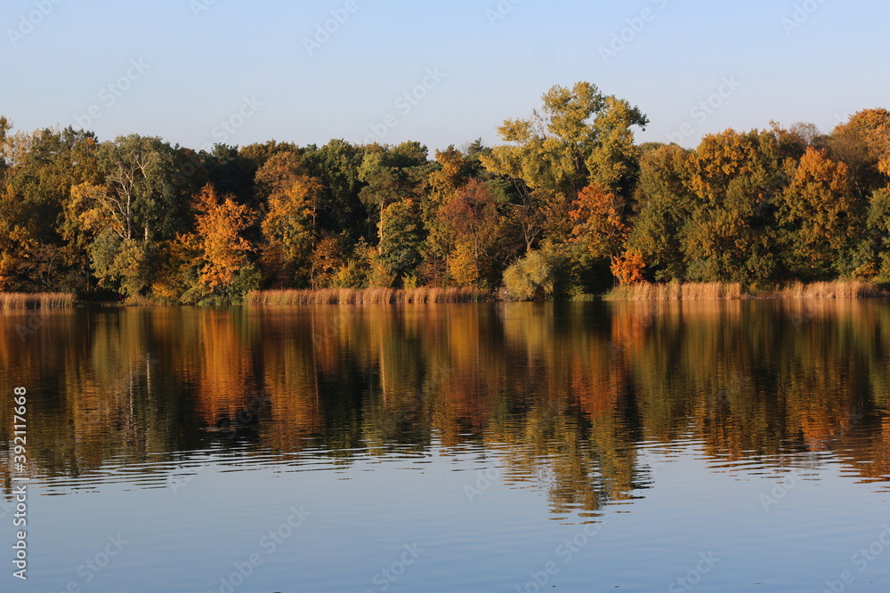 autumn trees reflected in water autumn trees reflected in water