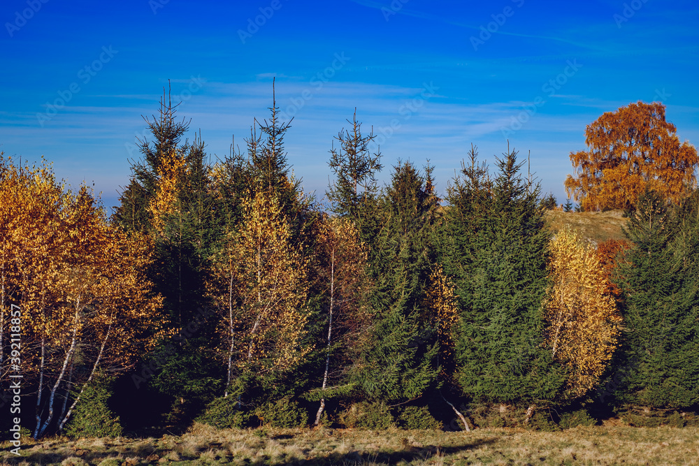 Fototapeta premium beautiful autumn landscapes in the Romanian mountains, Fantanele village area, Sibiu county, Cindrel mountains, Romania