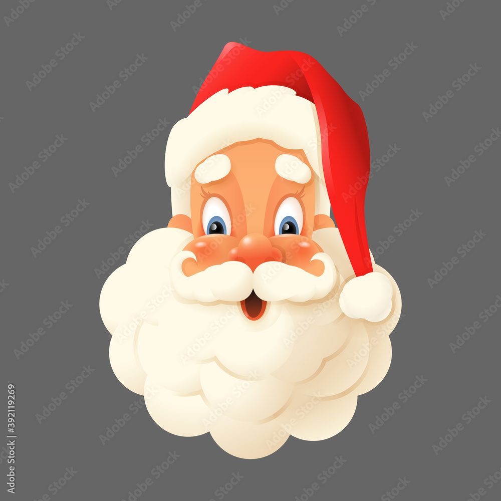 Fotografie Happy Santa Claus isolated - expression face vector illustration