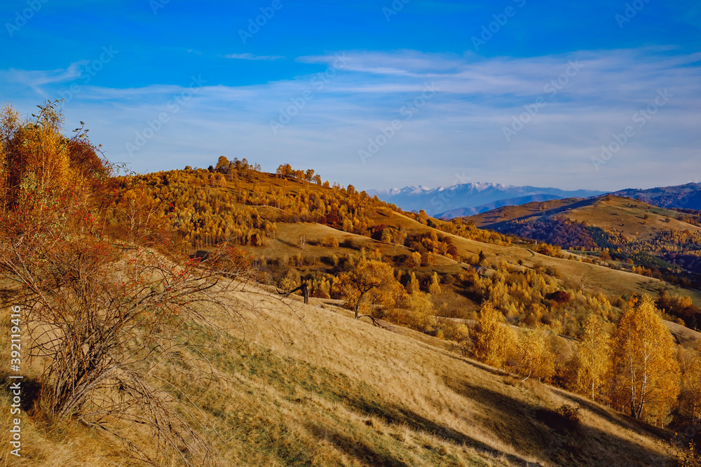 Obraz premium beautiful autumn landscapes in the Romanian mountains, Fantanele village area, Sibiu county, Cindrel mountains, Romania