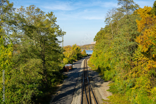 view of straight parallel railroad tracks stretching out surrounded with lush bright green trees and bushes copy space in blue sky