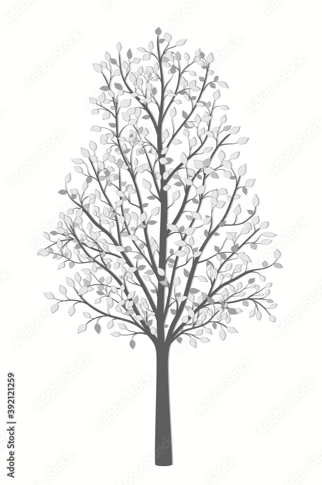 Obraz premium Tree with leaves in gray vintage style on a white background