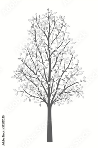 Tree with leaves in gray vintage style on a white background