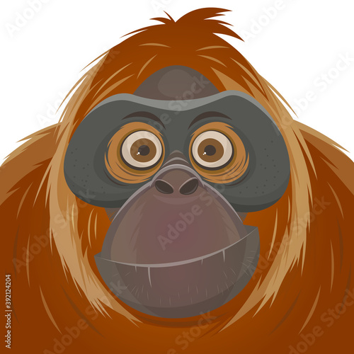 cartoon illustration of an orangutan ape