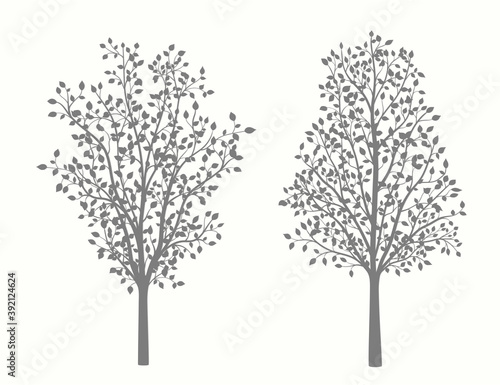 Silhouettes of trees on a white background in two versions