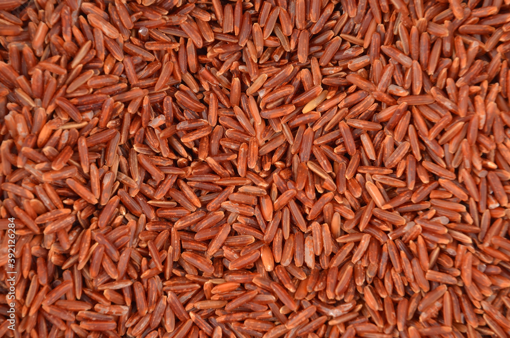 Brown rice, close-up
