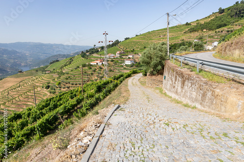 a country road through the vineyards of Douro Wine Region (DOC - Portuguese Quality Wine Scheme) on the slopes of Douro river next to Mesao Frio, district of Vila Real, Douro, Portugal photo