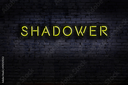 Night view of neon sign on brick wall with inscription shadower photo