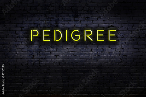 Neon sign. Word pedigree against brick wall. Night view