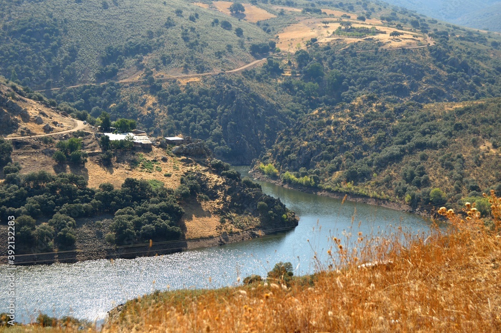 Fototapeta premium Río