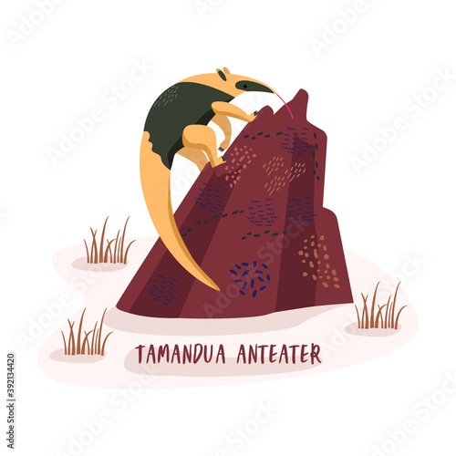 Flat vector cartoon illustration of the tamandua anteater standing on a termite mound. White background photo