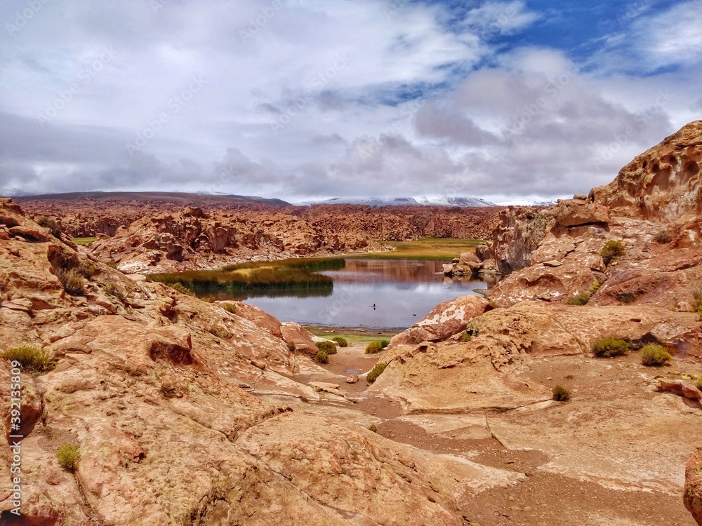 Rock formation - Lost Lagoon (Laguna Perdida/Hedionda)  in Bolivia, South America - part of the 3-days tour to the salt desert Salar de Uyuni, largest salt flat in the world.
