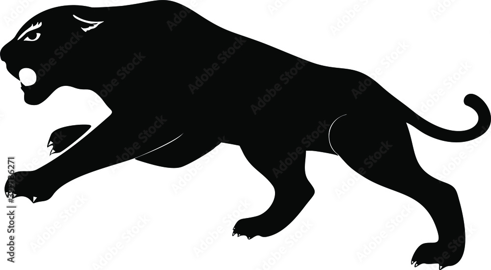 Wild panther on white background. Vector
