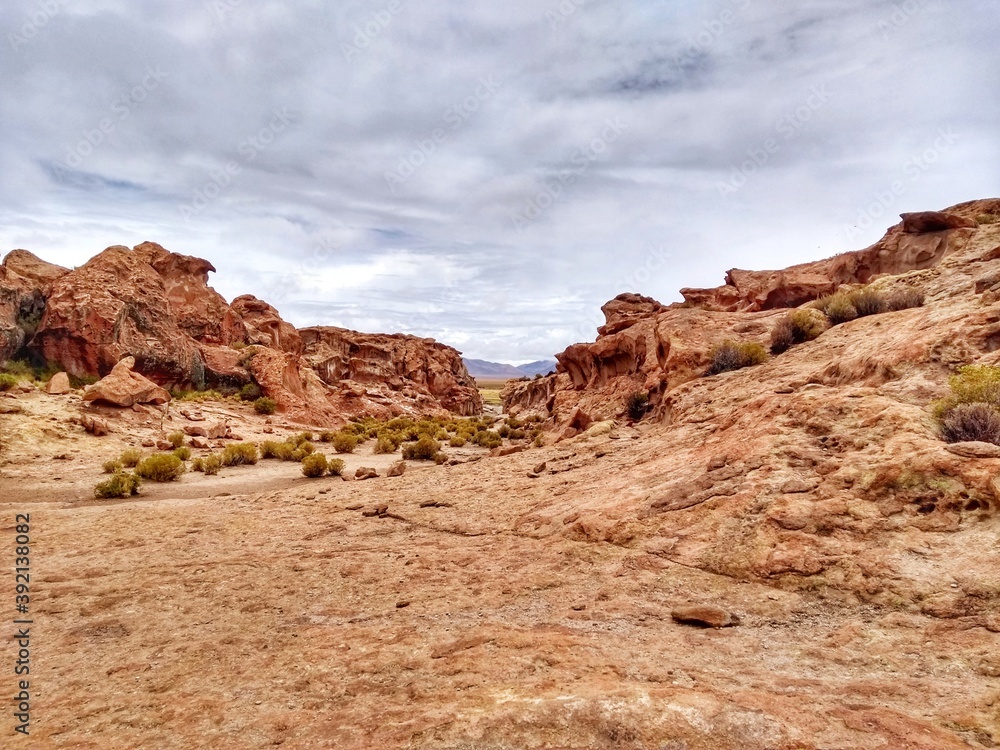 Fototapeta premium Landscapes - Bolivia - The three-day journey to Salar the Uyuni has outstanding landscapes. Lakes, geysers, volcans, valleys, rock formations, thermal water and wild animals. 