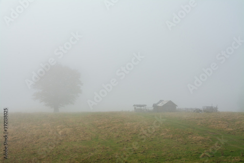 Shot of a lonely farm with a huge tree on the horizon photo