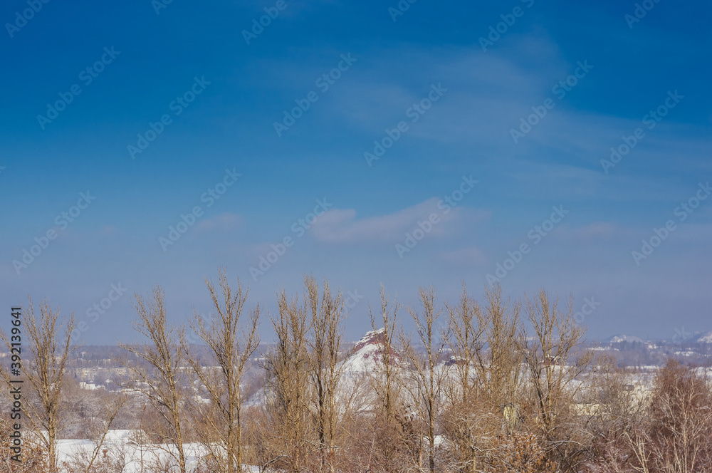 Winter urban frosty landscape - snow covered trees on foggy background Winter urban frosty landscape - snow covered trees on foggy background