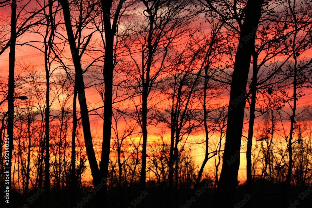 paysage paysage