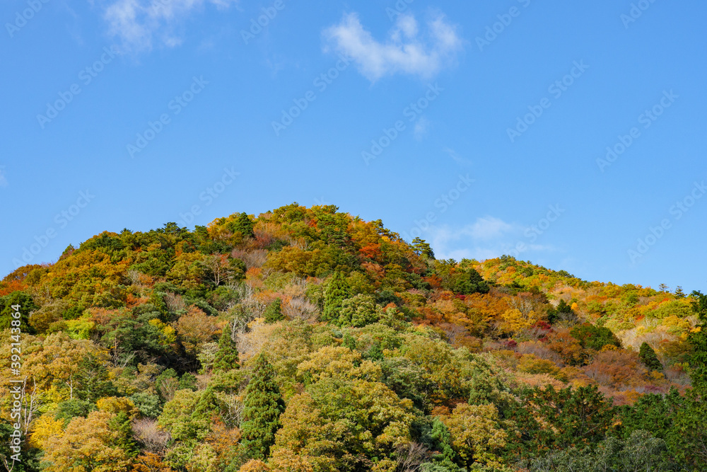 Obraz premium 晴天の空と紅葉する山 