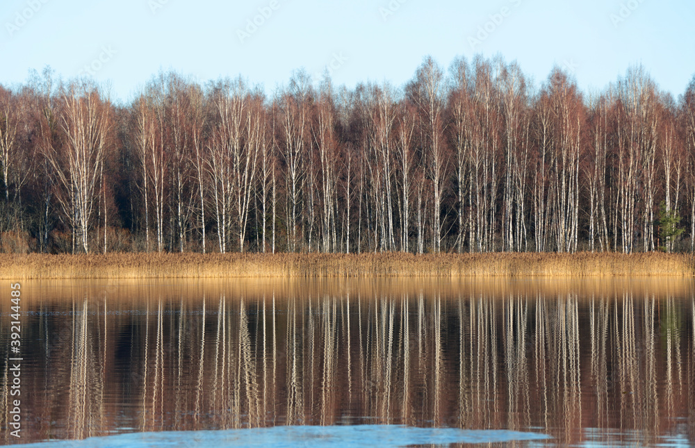 Melancholy landscape with reflection of trees in water