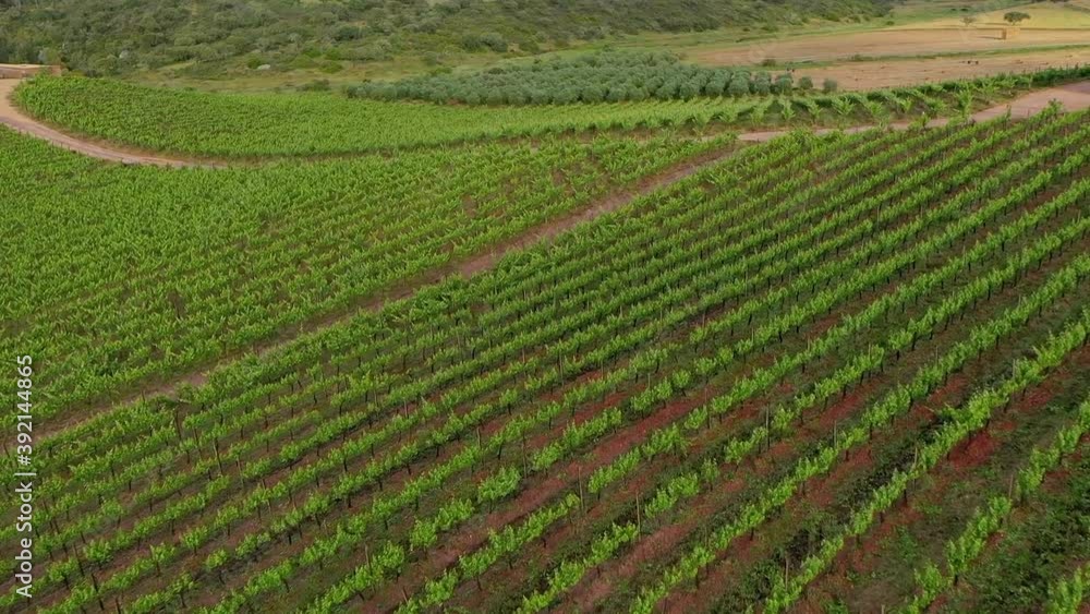 Aerial view of Vineyard estate, Portugal. Aerial view of Vineyard estate, Portugal.