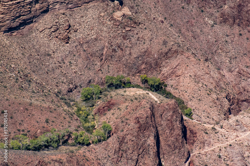 Grand Canyon Beauty