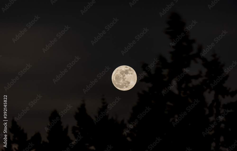 full moon in the night full moon in the night