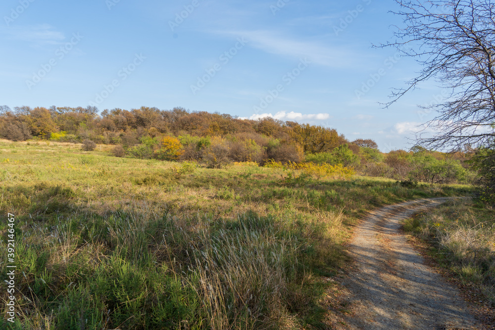 autumn landscape with trees autumn landscape with trees