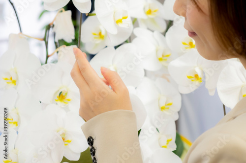 Fotografía 胡蝶蘭を鑑賞する女性【2020】