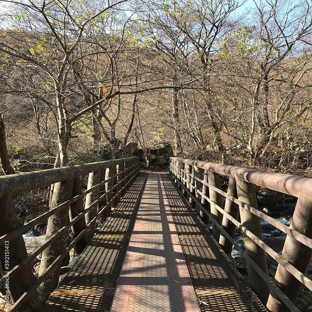山梨県北杜市清里の吐竜の滝近くの橋の風景