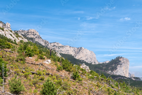 Fallen pines on the slope of a high rocky mountain. High stone rock and the forest on a hillside in the fog on blue sky background.