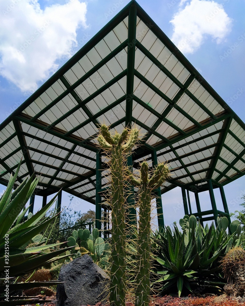 Obraz premium Naturaleza urbana