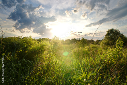 The sun sets over a grass field in Carrollton, TX near Dallas. photo