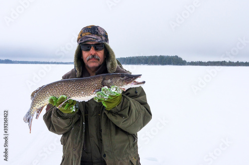 adult male fisherman holds a large pike fish. winter fishing