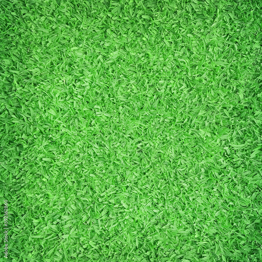 Green grass texture nature background top view Green grass texture nature background top view