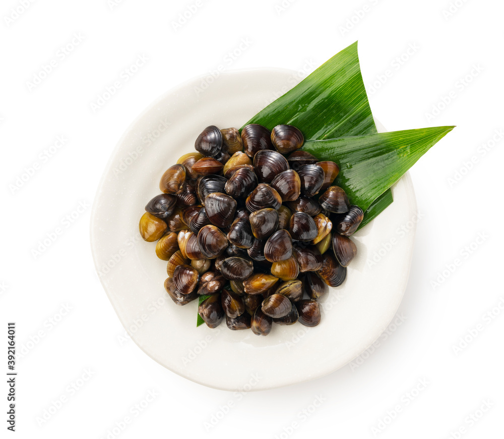 A freshwater clam on a white background A freshwater clam on a white background